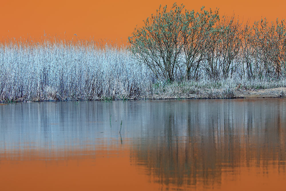 Naturschutzgebiet bei Sonnenuntergang